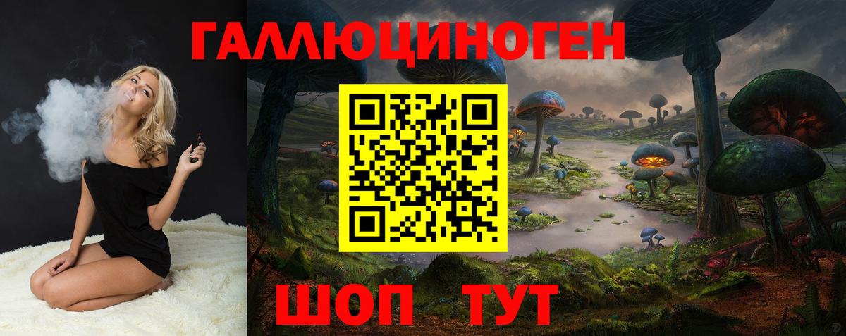 Псилоцибиновые грибы Psilocybe  Вход с VPN  Новодвинск 